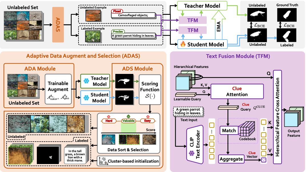 The main framework of our proposed method